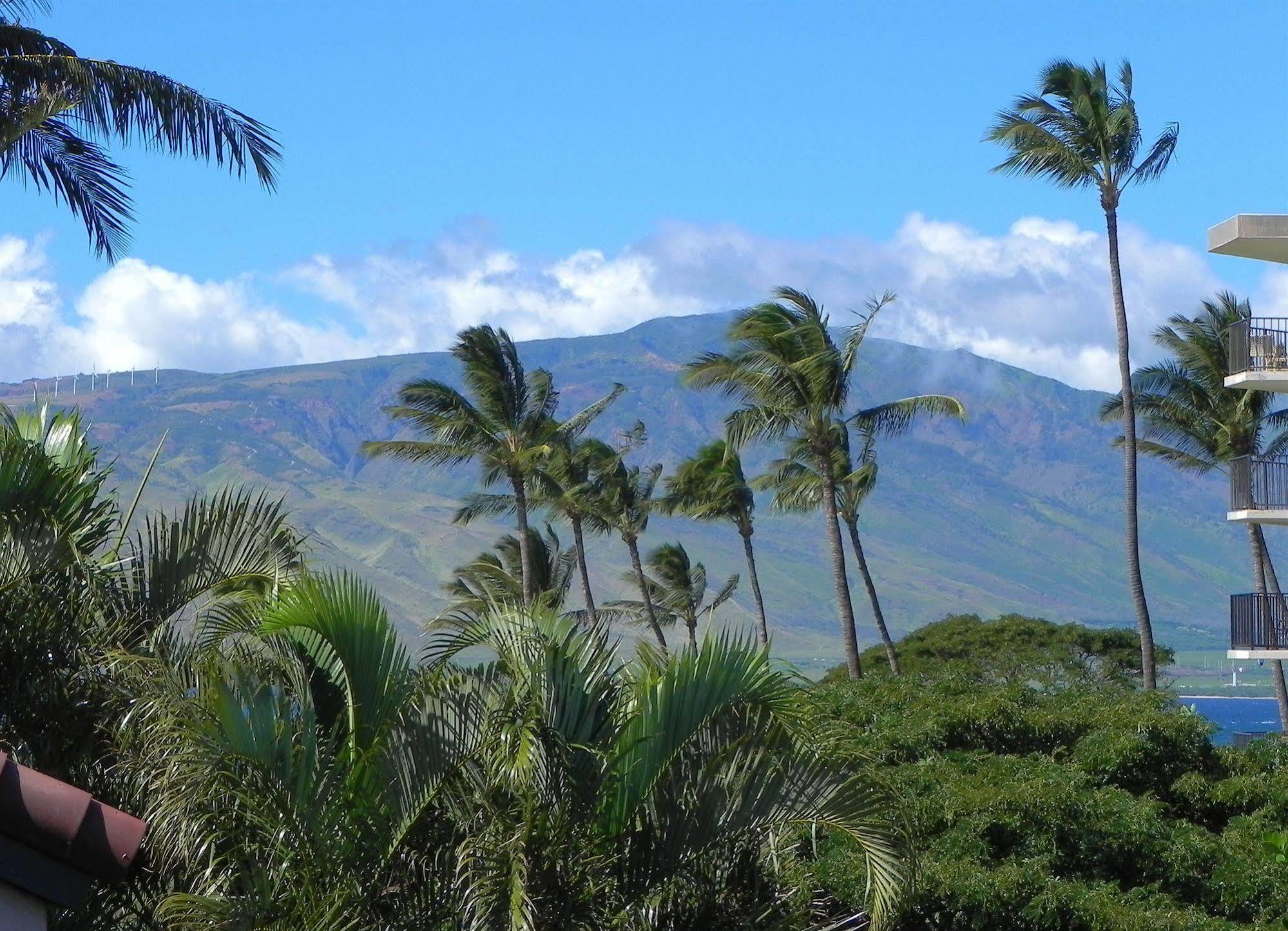 Luana Kai Resort Kihei Exteriér fotografie